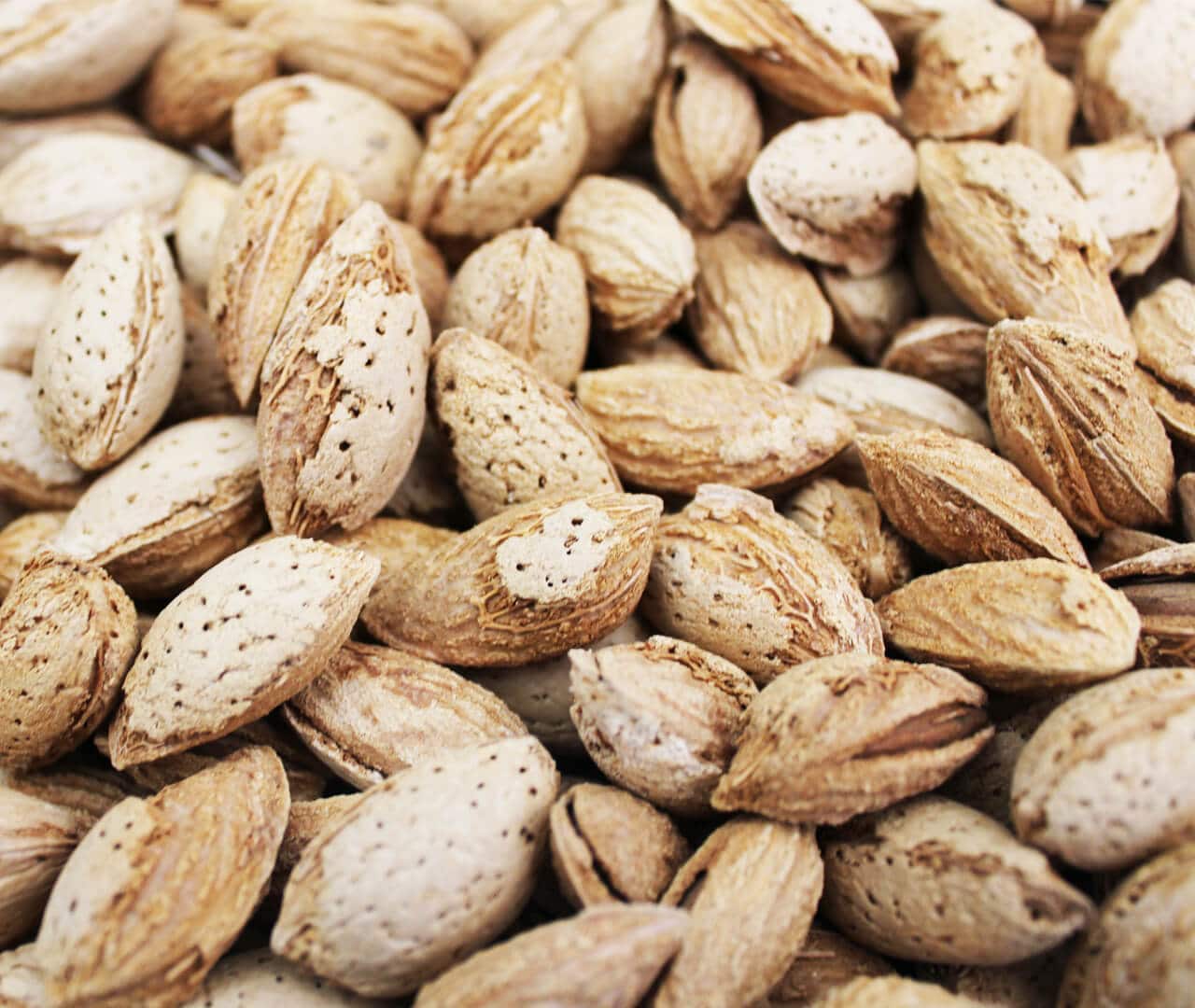 KPK Original Kaghzi Badam Almonds soft shells